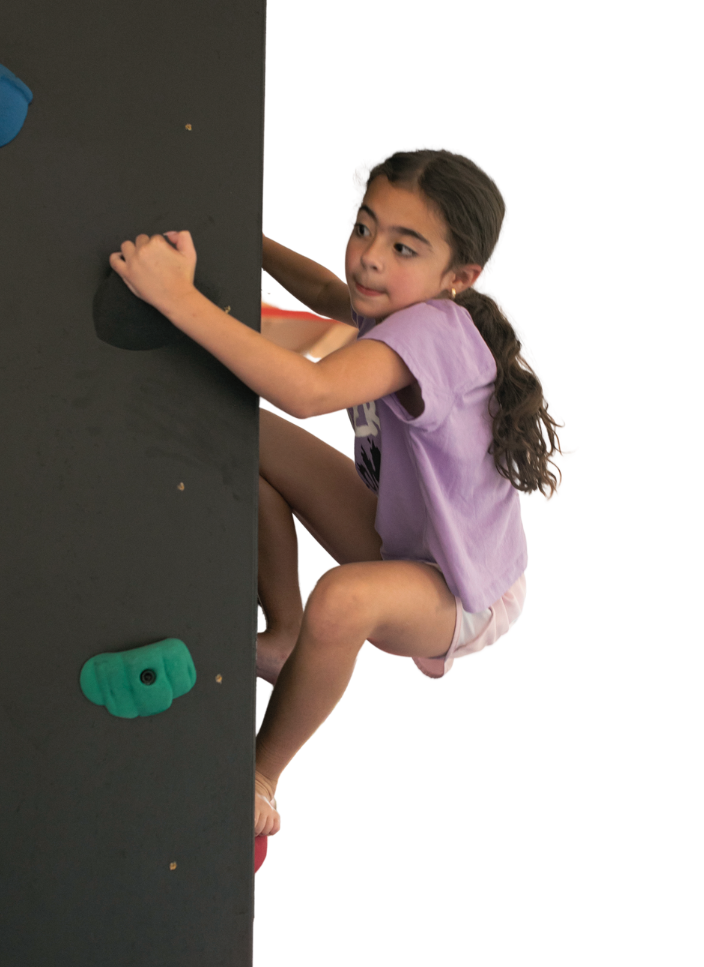 A young girl in a purple shirt carefully navigating a black rock climbing wall with green and blue handholds at Ninja Stafford